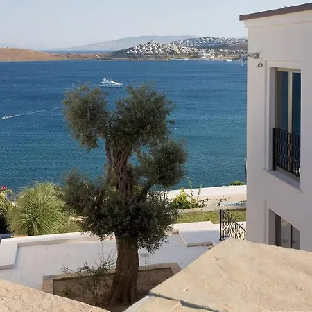 Holiday home Stilvolle Moderne Mit Pool Und Meerblick. Bodrum